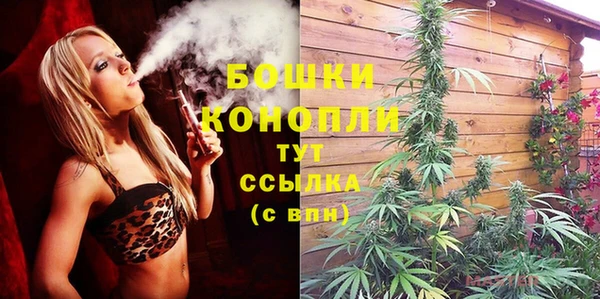 шишки Каменка