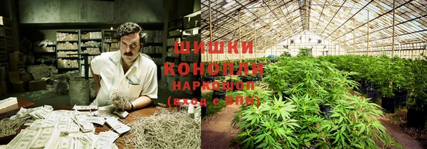 MDMA Premium VHQ Карталы