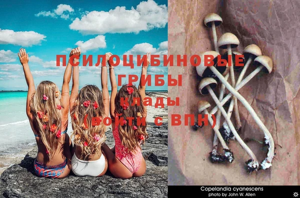марки nbome Карпинск