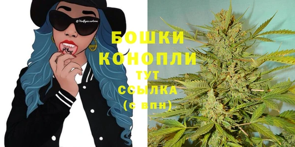 шишки Касимов