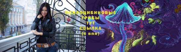 шишки Касимов
