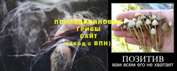 шишки Касимов
