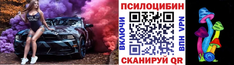 Псилоцибиновые грибы Psilocybe  Каменка 